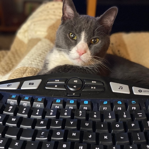 Meet your Posher, Pamela - Picture 15 of 16